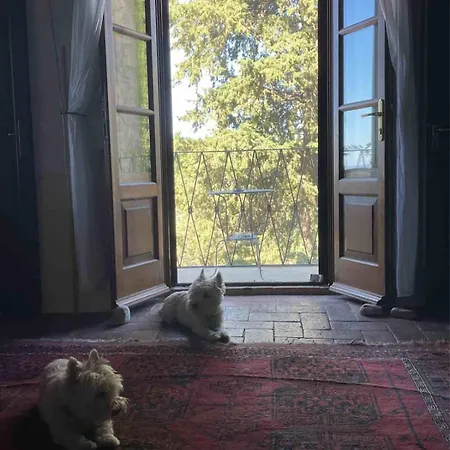 La Casa Di Carlotta *