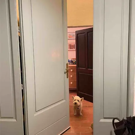 아파트 La Casa Di Carlotta *