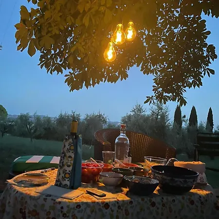La Casa Di Carlotta 아파트 Usi